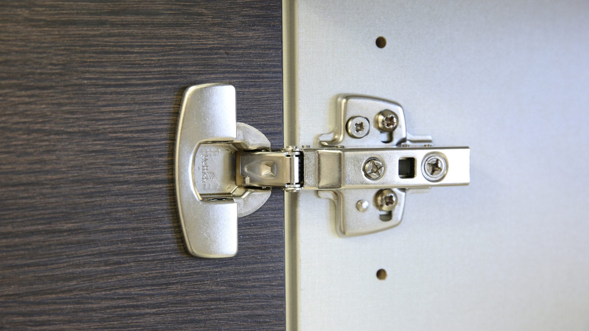 Frameless Hinge